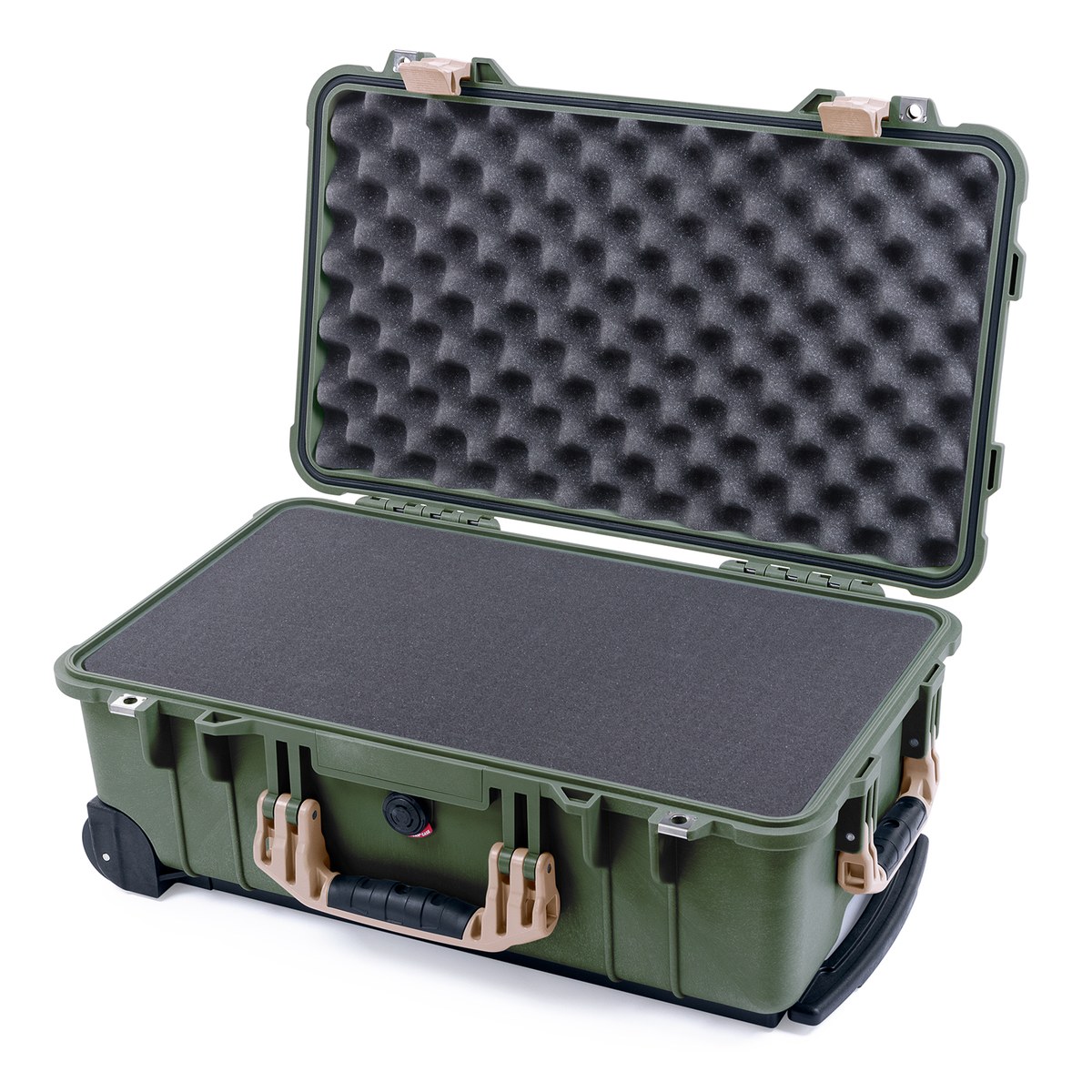 1510 Protector Carry-On Case
