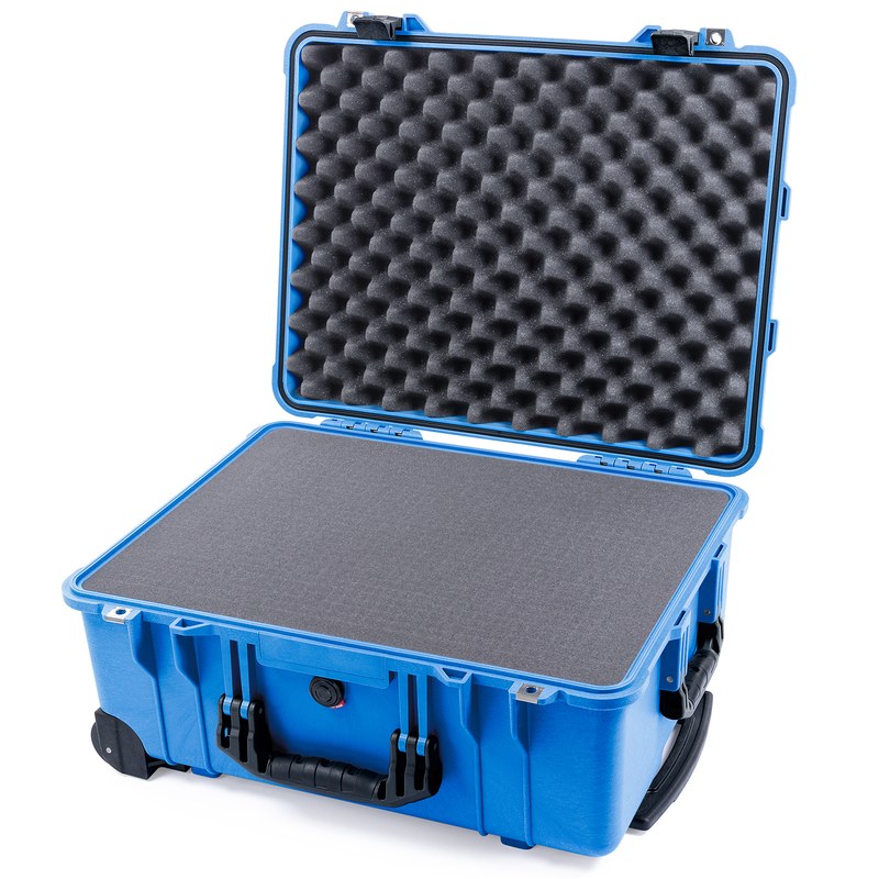 1560 Protector Case