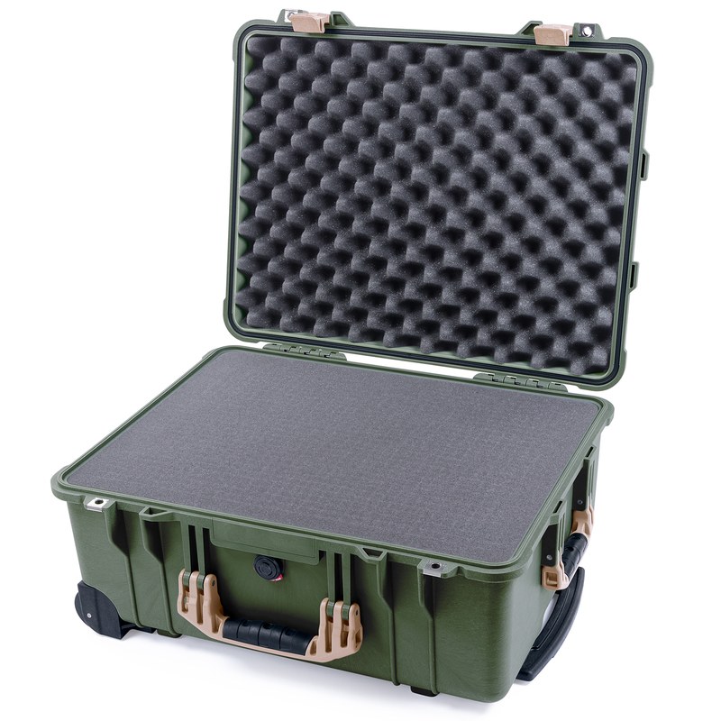 1560 Protector Case