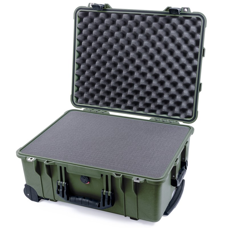 1560 Protector Case
