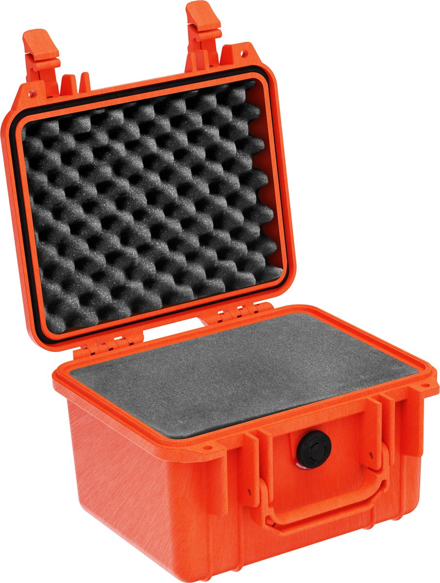 1300 Protector Case