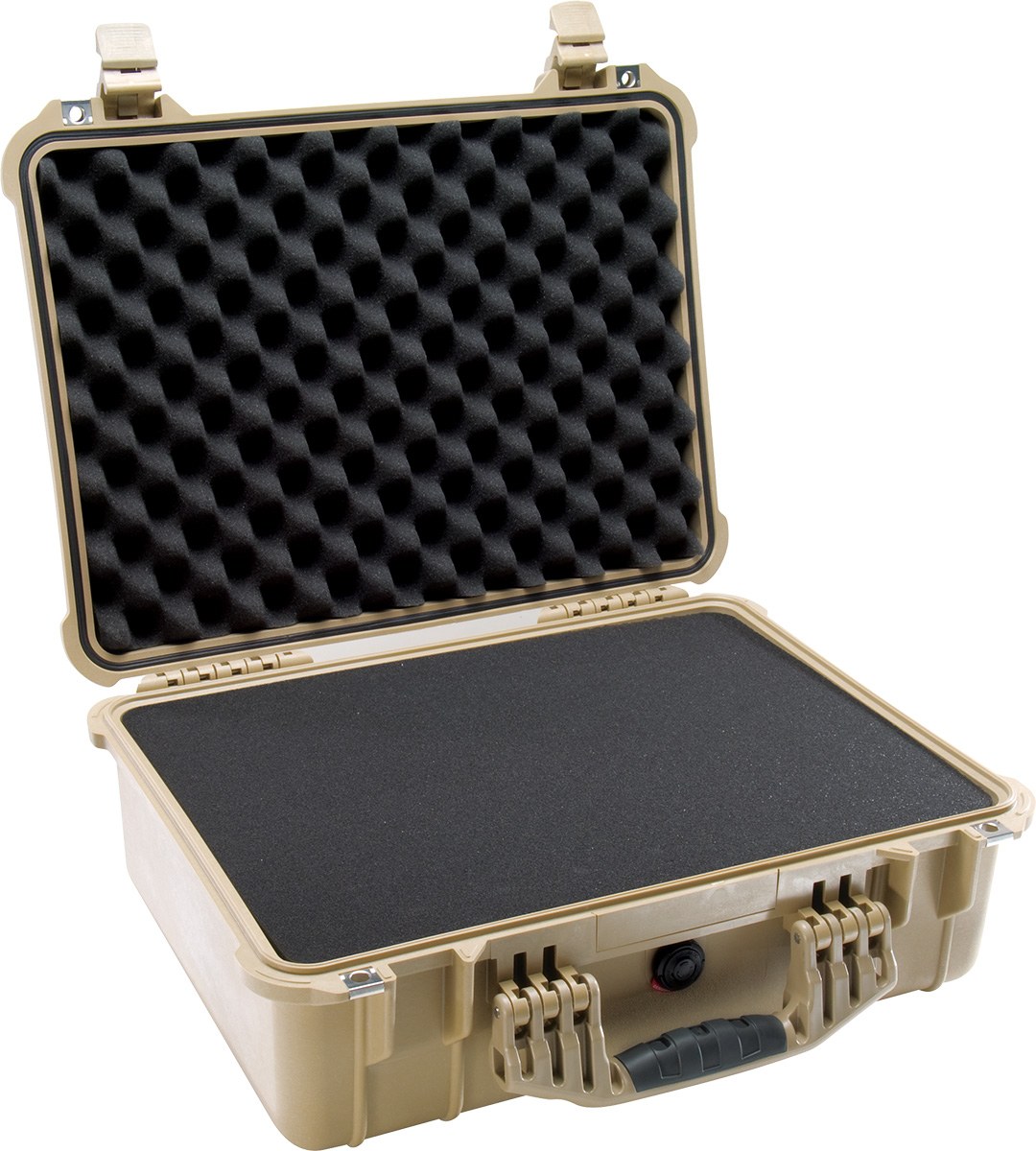 1520 Protector Case