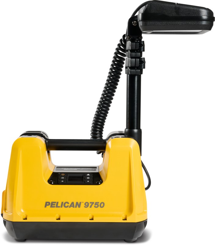 9750 Remote Area Light