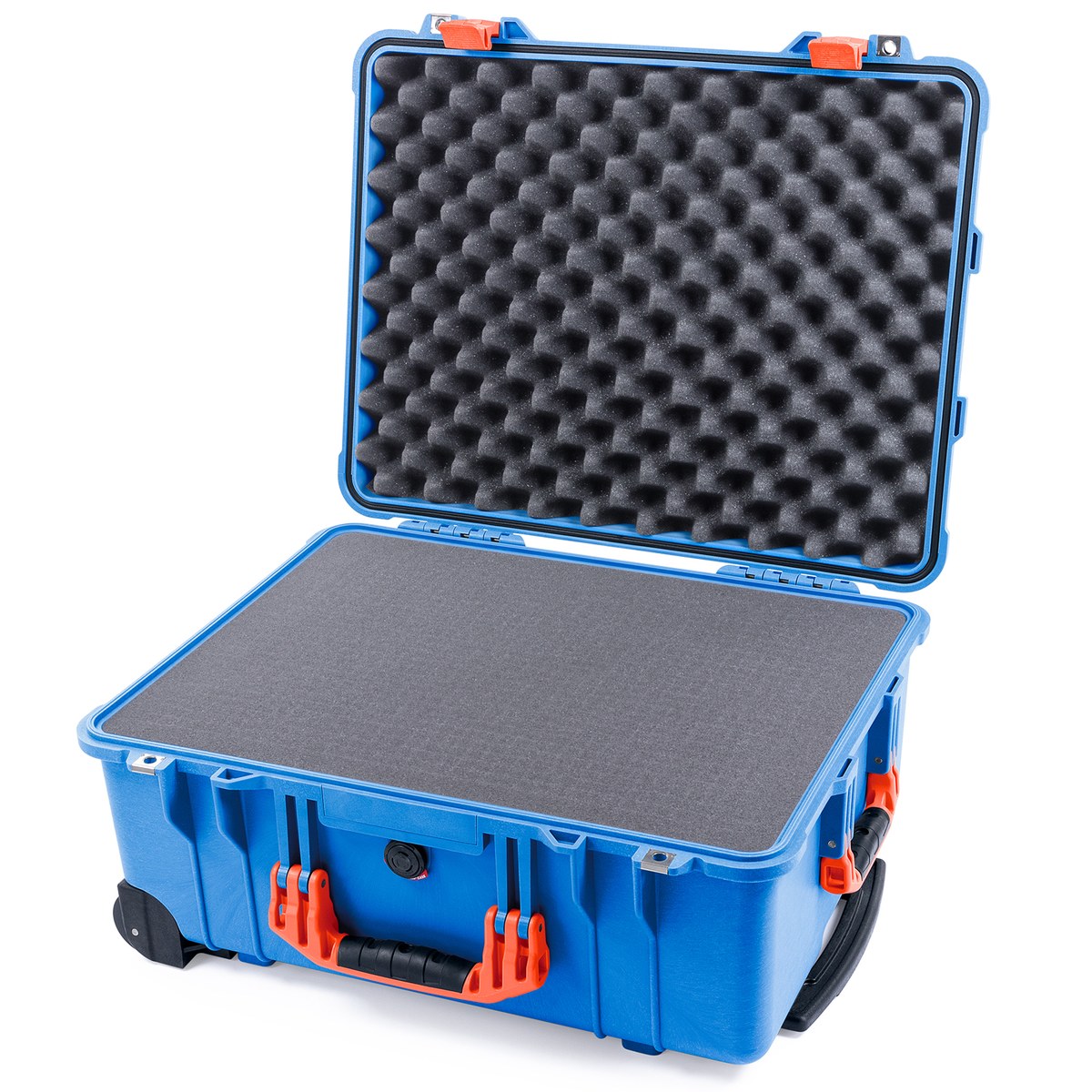 1560 Protector Case