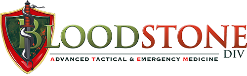 bloodstonedivision.com